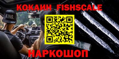 тгк Камышлов