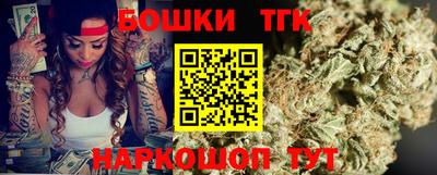 тгк Камышлов