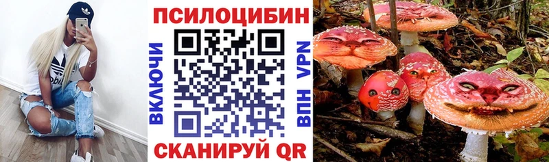 mega как войти Шатура Галлюциногенные грибы мицелий