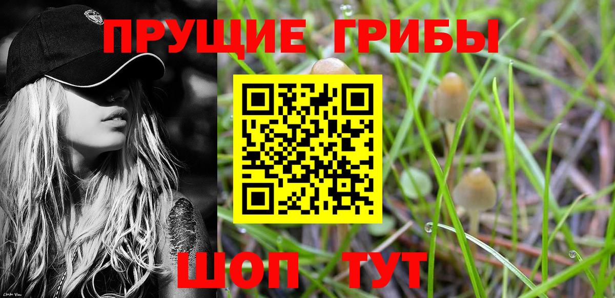 ГАШ  Канабис  Шатура  COCAIN  Мефедрон   Кокаин 